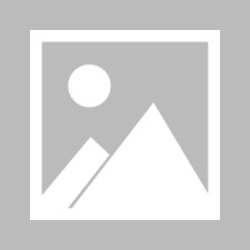 九游体育app-布鲁克林有棵树电影完整版免费